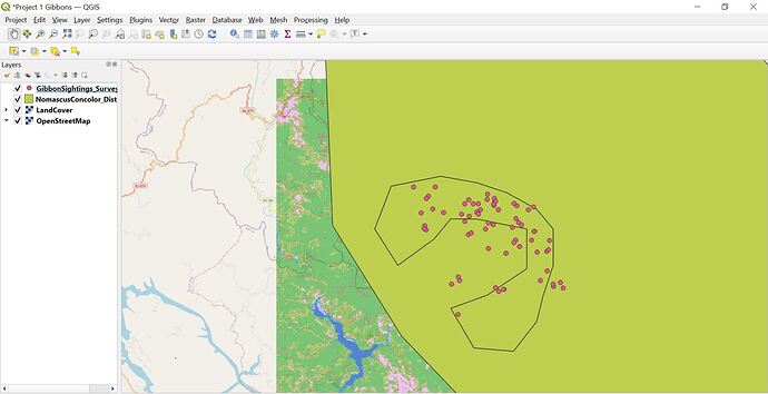 OpenStreetMap 1